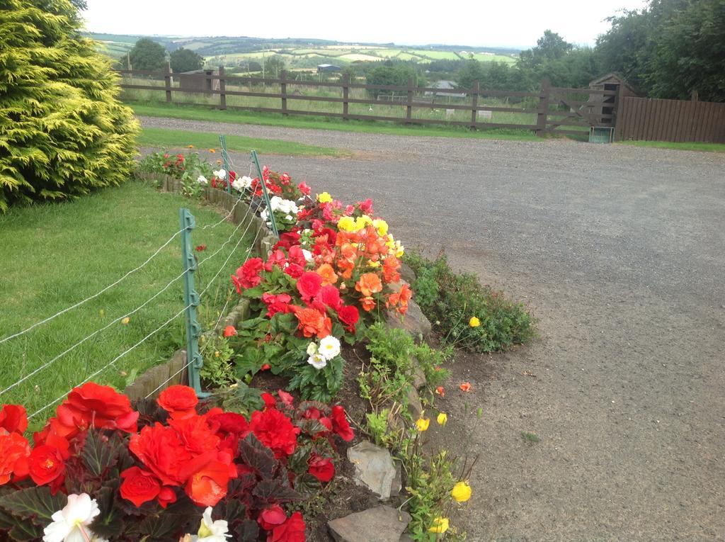 Bed and Breakfast Bradridge Farm Launceston Exterior foto