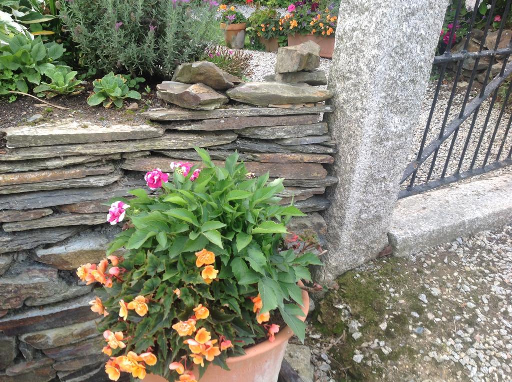 Bed and Breakfast Bradridge Farm Launceston Exterior foto