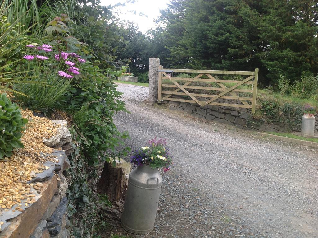 Bed and Breakfast Bradridge Farm Launceston Exterior foto