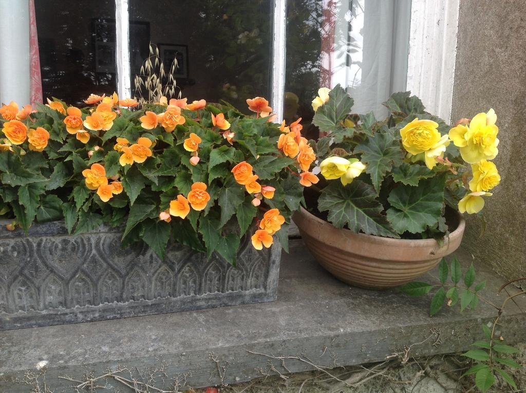 Bed and Breakfast Bradridge Farm Launceston Exterior foto