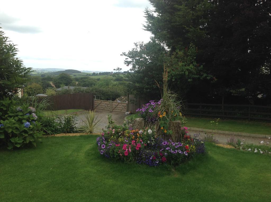 Bed and Breakfast Bradridge Farm Launceston Exterior foto